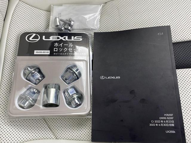 ＵＸ ＵＸ２５０ｈ　Ｆスポーツ　三眼ＬＥＤヘッドライト／白レザー／禁煙車／パワーバックドア／バックモニター／シートヒーター／ステアリングヒーター／フルセグ／レクサスセーフティーセンス／スペアキー＆カードキー有り／ドライブレコーダー（29枚目）