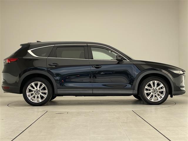 ＣＸ－８ ＸＤプロアクティブ　純正ナビ　プレミアムサウンドＢＯＳＥ　クルーズコントロール　シートヒーター　バックカメラ　パワーシート　ヘッドアップディスプレイ　コーナーセンサー　純正アルミホイール　ＥＴＣ２．０　ＢＳＭ　ＬＥＤ（19枚目）