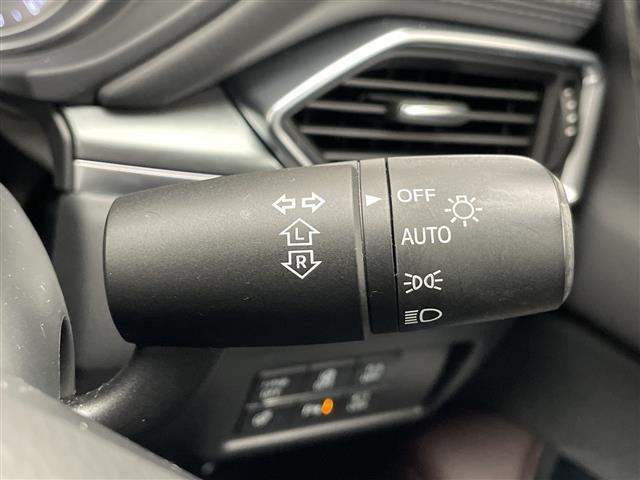 ＣＸ－８ ＸＤプロアクティブ　純正ナビ　プレミアムサウンドＢＯＳＥ　クルーズコントロール　シートヒーター　バックカメラ　パワーシート　ヘッドアップディスプレイ　コーナーセンサー　純正アルミホイール　ＥＴＣ２．０　ＢＳＭ　ＬＥＤ（23枚目）