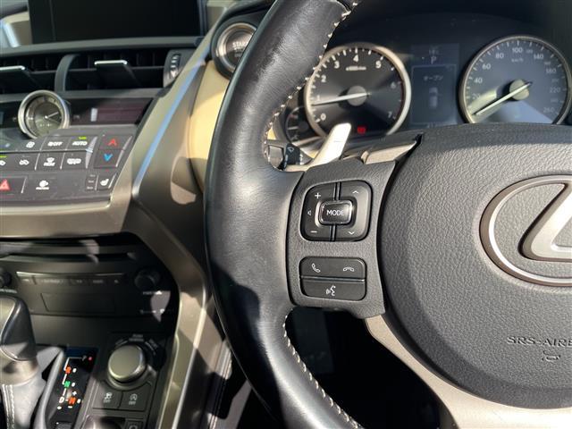 NX NX200t Iパッケージ 純正ナビ 全方位カメラ 三眼LEDヘッドライト 本革レザー レーダークルーズコントロール シートヒーター バックカメラ 電動リアゲート パワーシート コーナーセンサー ブラインドスポットモニター(22枚目)