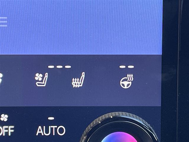 NX NX350h バージョンL セーフティプラス 純正14型ディスプレイナビ 三眼LED 全方位 サンルーフ 本革シート レーダークルーズ シートヒーター エアシート 電動リヤゲート パワーシート HUD コーナーセンサー 純正AW(28枚目)