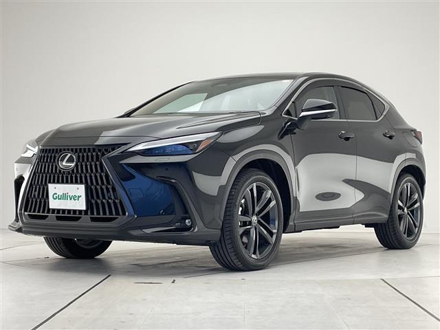 NX NX350h バージョンL セーフティプラス 純正14型ディスプレイナビ 三眼LED 全方位 サンルーフ 本革シート レーダークルーズ シートヒーター エアシート 電動リヤゲート パワーシート HUD コーナーセンサー 純正AW(36枚目)