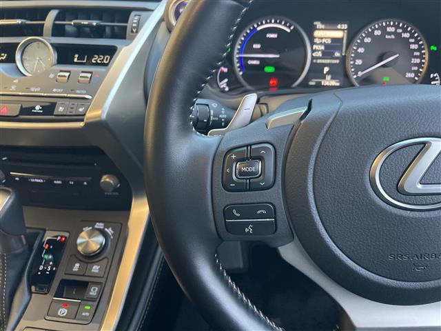 NX NX300h スパイス&シック 純正10.5型ナビ 三眼LEDヘッドライト 全方位カメラ ガラスルーフ レーダークルーズコントロール シートヒーター エアシート バックカメラ 電動リアゲート パワーシート ブラインドスポットモニター(22枚目)