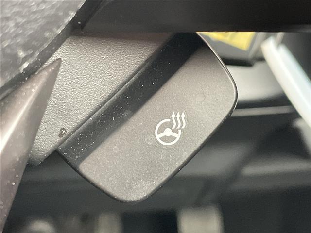 フォレスター Ｘ－ブレイク　アイサイト　ＳＤナビ　レーダークルーズコントロール　シートヒーター　バックカメラ　コーナーセンサー　純正アルミホイール　ルーフレール　４ＷＤ　ＬＥＤヘッドライト　パドルシフト　ステアリングヒーター（7枚目）