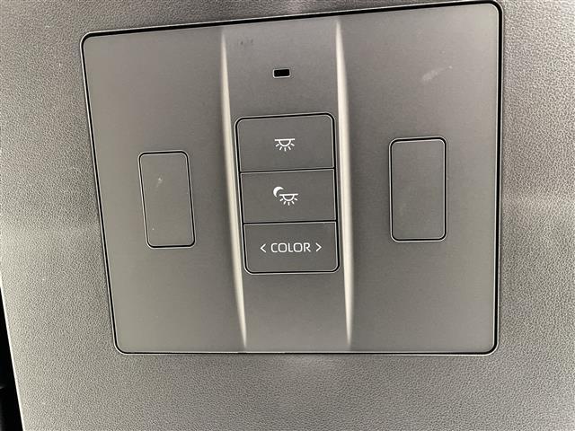 アルファードハイブリッド Ｘ　純正９型ディスプレイオーディオ　ナビ機能なし　フリップダウンモニター　全方位カメラ　三眼ＬＥＤヘッドライト　両側パワースライドドア　レーダークルーズコントロール　バックカメラ　ブラインドスポットモニタ（28枚目）