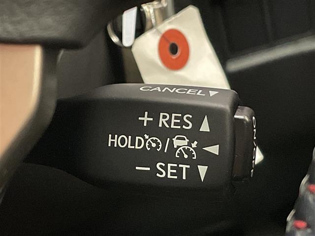 ＮＸ ＮＸ３００ｈ　スパイス＆シック　純正１０型ナビ　三眼ＬＥＤヘッドライト　全方位カメラ　レーダークルーズコントロール　シートヒーター　エアシート　電動リアゲート　パワーシート　コーナーセンサー　純正アルミホイール　ステアリングヒーター（10枚目）