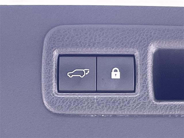 ＮＸ ＮＸ３００ｈ　スパイス＆シック　純正１０型ナビ　三眼ＬＥＤヘッドライト　全方位カメラ　レーダークルーズコントロール　シートヒーター　エアシート　電動リアゲート　パワーシート　コーナーセンサー　純正アルミホイール　ステアリングヒーター（33枚目）