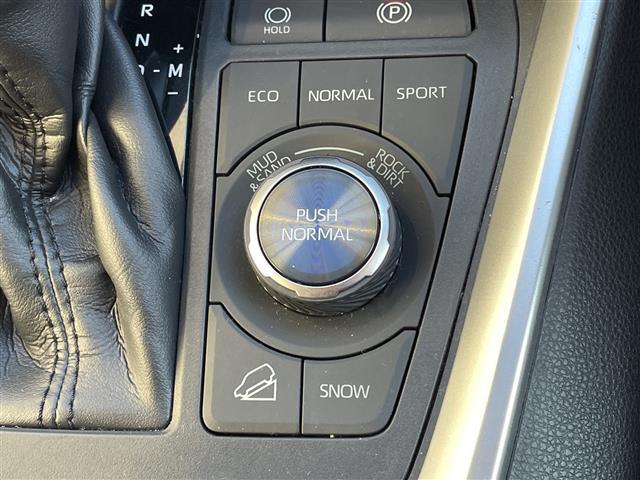 ＲＡＶ４ アドベンチャー　トヨタセーフティセンス　ＳＤナビ　ＳＤカードなし　レーダークルーズコントロール　バックカメラ　パワーシート　コーナーセンサー　純正アルミホイール　ルーフレール　ＥＴＣ　４ＷＤ　衝突軽減システム（29枚目）