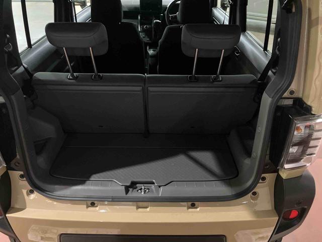 タフト X(18枚目)