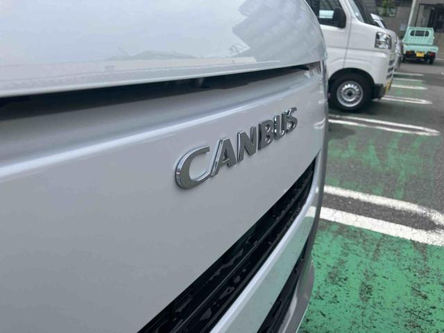 ムーヴキャンバス ストライプスX(36枚目)