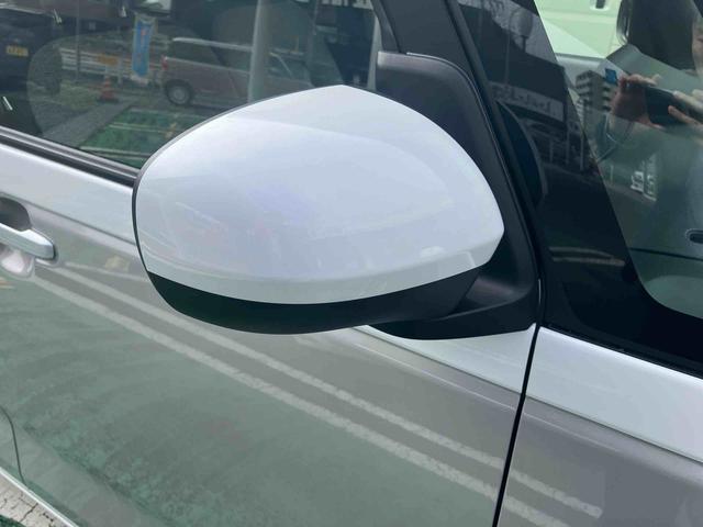 ムーヴキャンバス ストライプスX(39枚目)