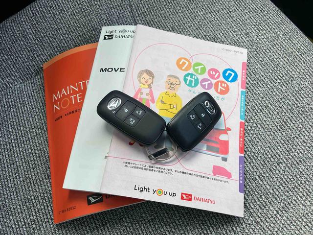 ムーヴキャンバス ストライプスX(48枚目)