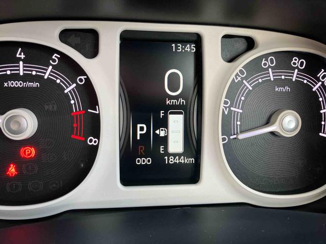 ムーヴキャンバス ストライプスＧ（15枚目）