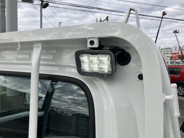 ハイゼットトラック スタンダード 農用スペシャル(38枚目)