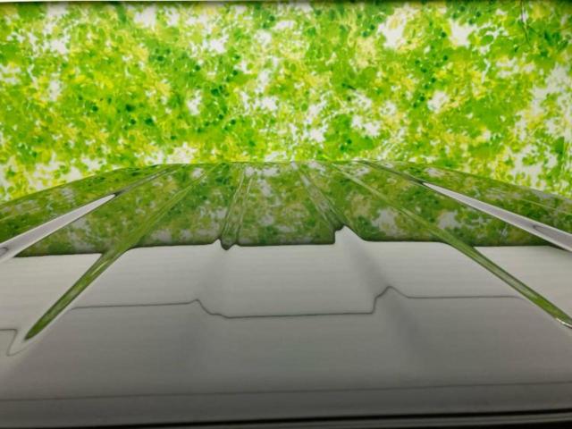 ジムニー 4WD XC 保証書/衝突安全装置/シートヒーター 前席/車線逸脱防止支援システム/ヘッドランプ LED/USBジャック/EBD付ABS/横滑り防止装置/クルーズコントロール/エアバッグ 運転席 LEDヘッドランプ(45枚目)