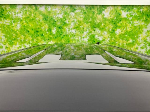 タント カスタムRS 新品タイヤ/保証書/ディスプレイオーディオ9インチ/衝突安全装置/両側電動スライドドア/シートヒーター 前席/全方位モニター/車線逸脱防止支援システム/シート ハーフレザー 衝突被害軽減システム TV(47枚目)