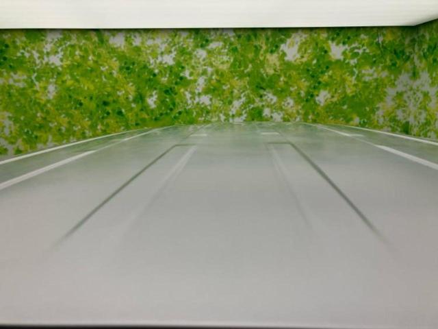 セレナ ２０Ｘ　新品タイヤ／社外　８インチ　ＳＤナビ／フリップダウンモニター　社外　１０．２インチ／電動スライドドア／ドライブレコーダー　社外／Ｂｌｕｅｔｏｏｔｈ接続／ＥＴＣ／ＥＢＤ付ＡＢＳ／横滑り防止装置　ドラレコ（47枚目）