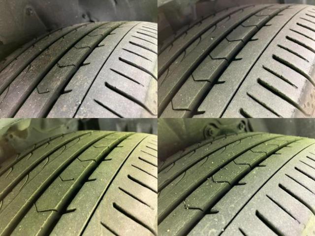 �u���̎Ԃ̎ʐ^�������ƌ������v�u��Ԃ��C�ɂȂ�v�u���̑����͂��Ă���H�v�ǂ�ȏ����ȋ^��ł����C�y�ɂ��₢���킹���������I