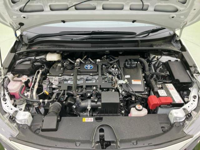 �S���ɓX�܂�W�J���Ă���̂łǂ��ł������񂹂��\�ł��I���̎Ԃ��C�ɂȂ邯�ǉ���������E�E�E�ƒ��߂�K�v�͂���܂���I���ʓr������K�v�ł��B