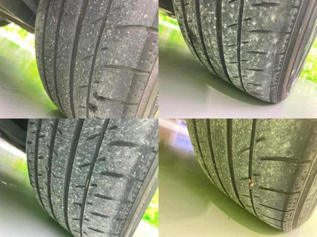 �u���̎Ԃ̎ʐ^�������ƌ������v�u��Ԃ��C�ɂȂ�v�u���̑����͂��Ă���H�v�ǂ�ȏ����ȋ^��ł����C�y�ɂ��₢���킹���������I