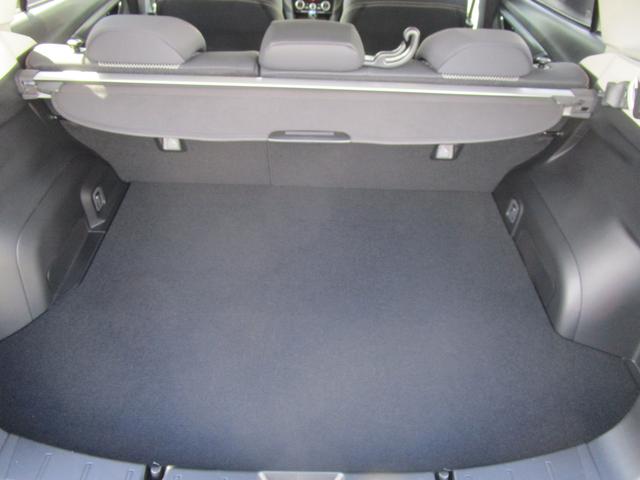 ＸＶ アドバンススタイルエディシヨン（14枚目）