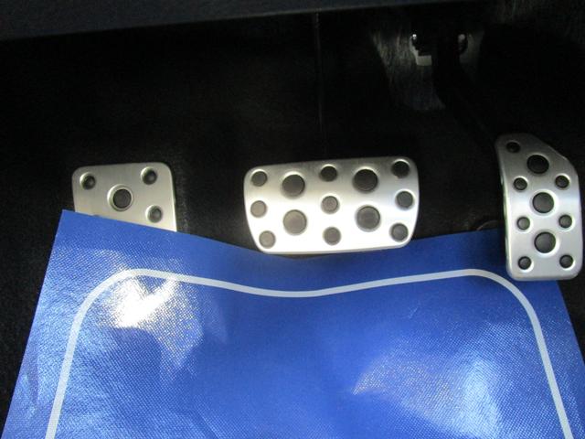 ＸＶ アドバンススタイルエディシヨン（60枚目）