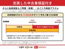 セオリーＧ・衝突回避支援システム　左右電動スライドドア　保証１年間・距離無制限付き(31枚目)