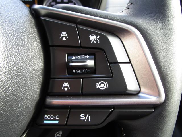 フォレスター Advance(30枚目)