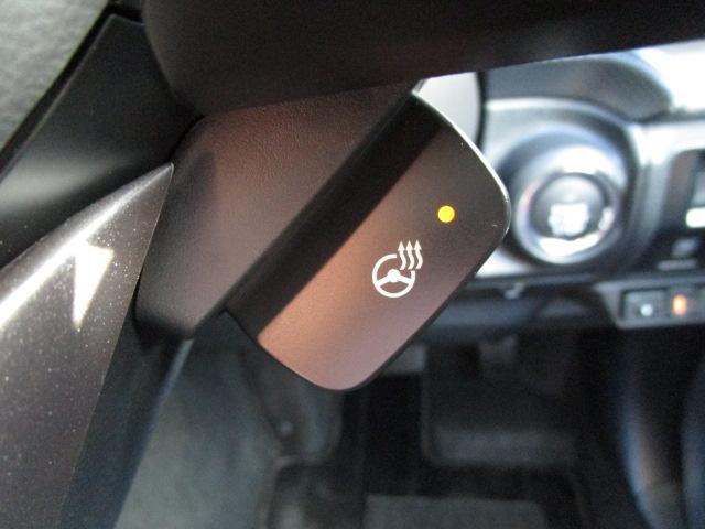 フォレスター Advance(32枚目)