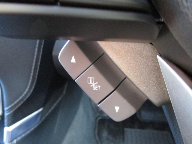 フォレスター Advance(33枚目)