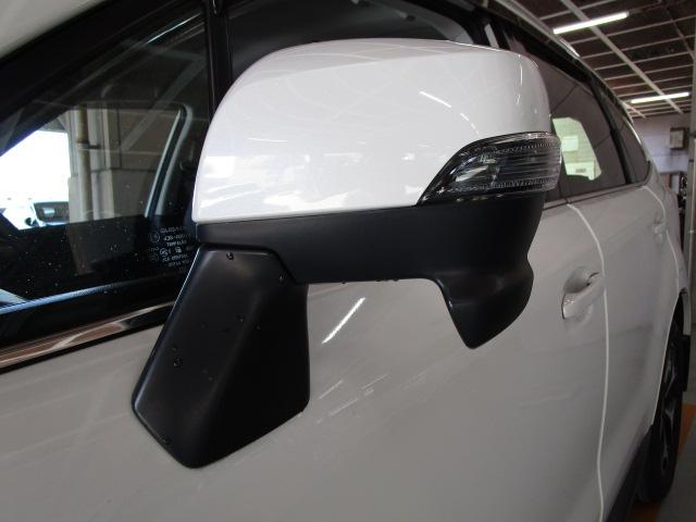 フォレスター Ｓ－Ｌｉｍｉｔｅｄ　ＥｙｅＳｉｇｈｔ搭載車（16枚目）