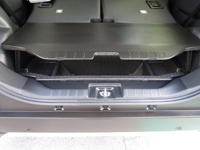 シフォン トライ（55枚目）