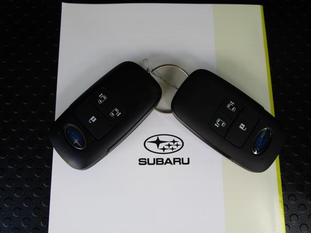 シフォン トライ（63枚目）