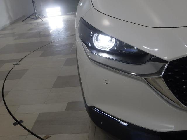 ＣＸ－３０ ２０Ｓプロアクティブツーリングセレクション　禁煙車　マツダコネクトディスプレイ　マルチビューカメラ　ＵＳＢ接続　Ｂｌｕｅｔｏｏｔｈ接続　ＨＤＭＩ　ＣＤ／ＤＶＤ再生　ＢＯＳＥサウンド　ＡｐｐｌｅＣａｒＰｌａｙ　ＡｎｄｒｏｉｄＡｕｔｏ　Ｆカメラ（20枚目）