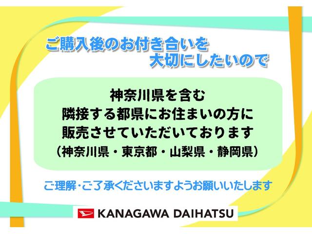 ハイゼットカーゴ ＤＸ　サポカーＳワイド適合　ラジオ　エアコン　アクセサリーソケット　コーナーセンサー　アイドリングストップ　光軸調整ダイヤル　横滑り防止機能　誤発進抑制機能　パワーウインドウ　キーレス（24枚目）