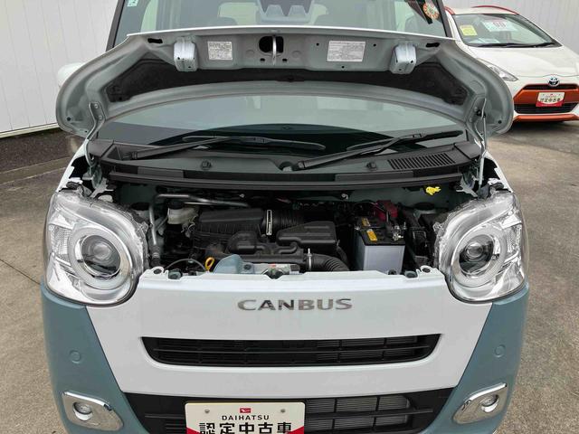 ムーヴキャンバス ストライプスG(15枚目)