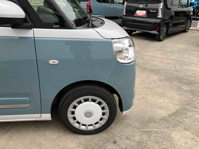 ムーヴキャンバス ストライプスG(20枚目)