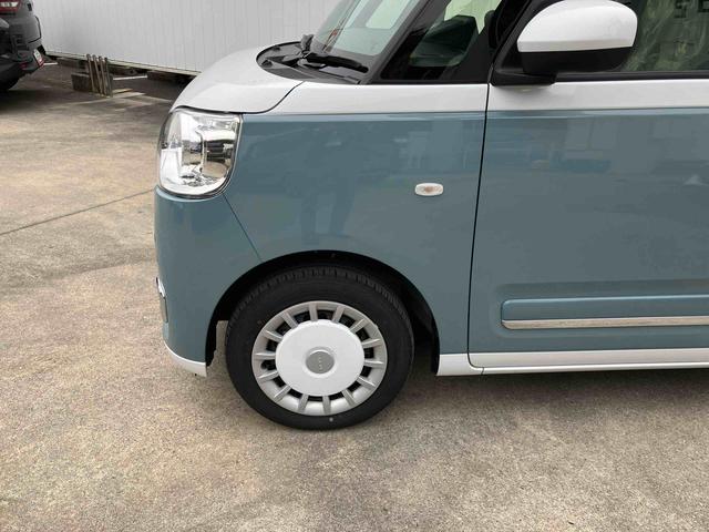 ムーヴキャンバス ストライプスG(21枚目)