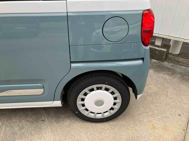 ムーヴキャンバス ストライプスG(22枚目)