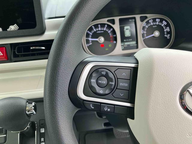 ムーヴキャンバス ストライプスG(36枚目)