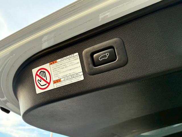 ヴェルファイア 2.5Z Aエディション ゴールデンアイズ【禁煙】 純正9型ナビ CD録音 DVD再生 フルセグTV Bluetooth 後席モニター バックカメラ ETC LEDライト フォグ 両側電動スライド 電動リアゲート コーナーセンサー クルーズコントロール(23枚目)