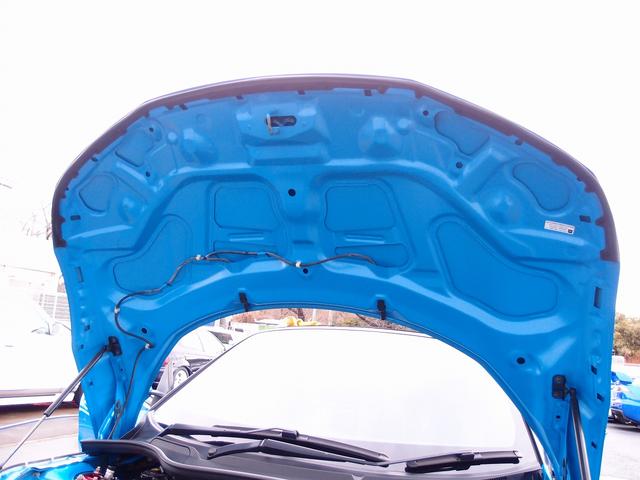 Ｓ６６０ α　１オーナー純正ディスプレイオーディオ　ラルグス車高調　ＷＯＲＫマイスターＭ１１６ＡＷ　ＫＬＣフルエアロ　ダックテール　バックカメラ　新品イグニッションコイル新品プラグ　ハーフレザーシート　スマートキー（72枚目）