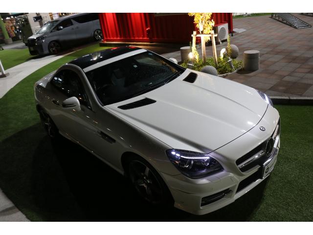 SLK カーボンルックED マジックスカイコントロール(3枚目)