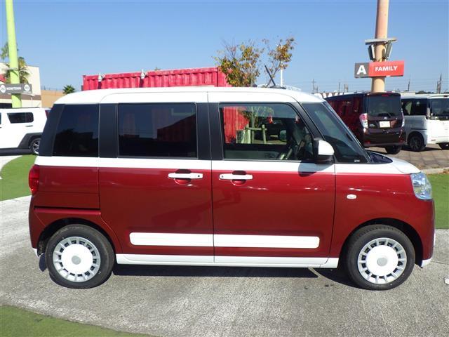 ムーヴキャンバス ストライプスG(33枚目)