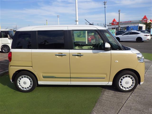 ムーヴキャンバス ストライプスG(33枚目)