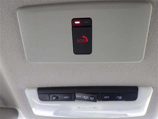 オーラ Ｇ（16枚目）