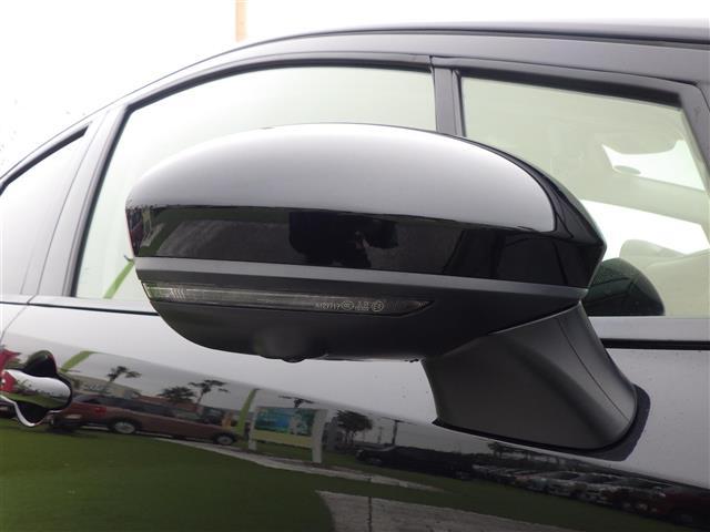 オーラ Ｇ（31枚目）