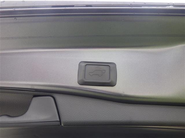 RAV4 アドベンチャー オフロードパッケージ(24枚目)