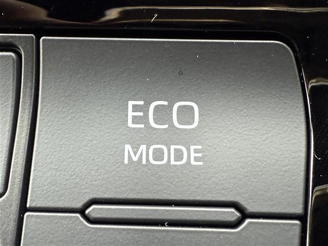 アルファードハイブリッド X 純正ディスプレイオーディオ レーダークルーズコントロール 両側パワースライドドア パノラミックビューモニター バックカメラ 前後ドライブレコーダー フルセグTV Bluetooth Miracast(10枚目)