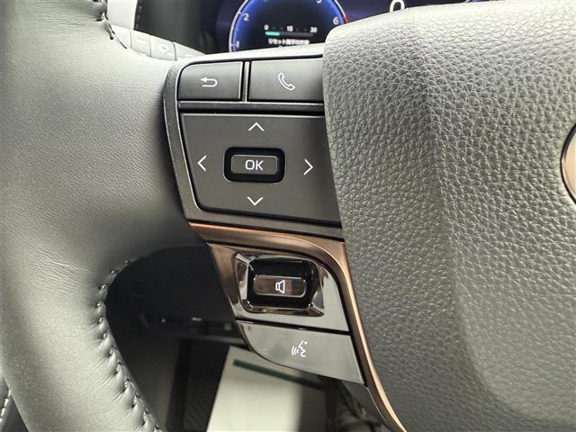 アルファードハイブリッド X 純正ディスプレイオーディオ レーダークルーズコントロール 両側パワースライドドア パノラミックビューモニター バックカメラ 前後ドライブレコーダー フルセグTV Bluetooth Miracast(27枚目)